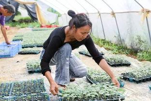 桂林新婚吃瓜,吃瓜群众见证幸福时光 第3张 桂林新婚吃瓜,吃瓜群众见证幸福时光 第3张